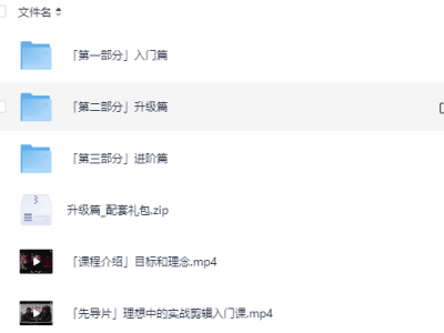 达芬奇2024B站同步含素材