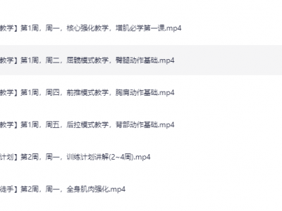 卓叔增重：12周家庭增肌循环计划【完结】