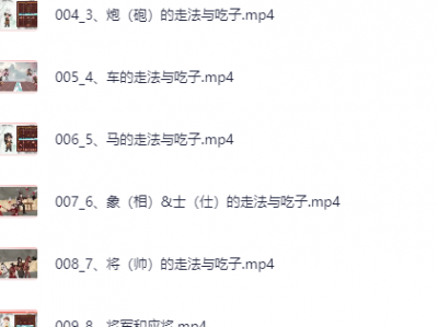 少年得到《0基础少年象棋课》