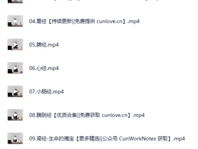 经络诊断与处方十二经络循