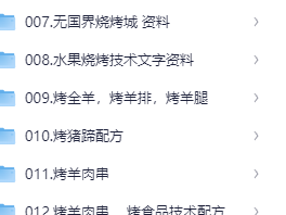 32套各类烧烤炭烤小吃技术合集）