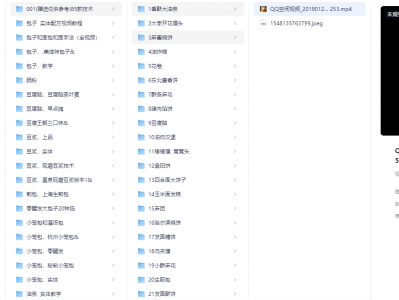 花了2.4万，全部买下来的小吃制作教程，适合小本创业学艺